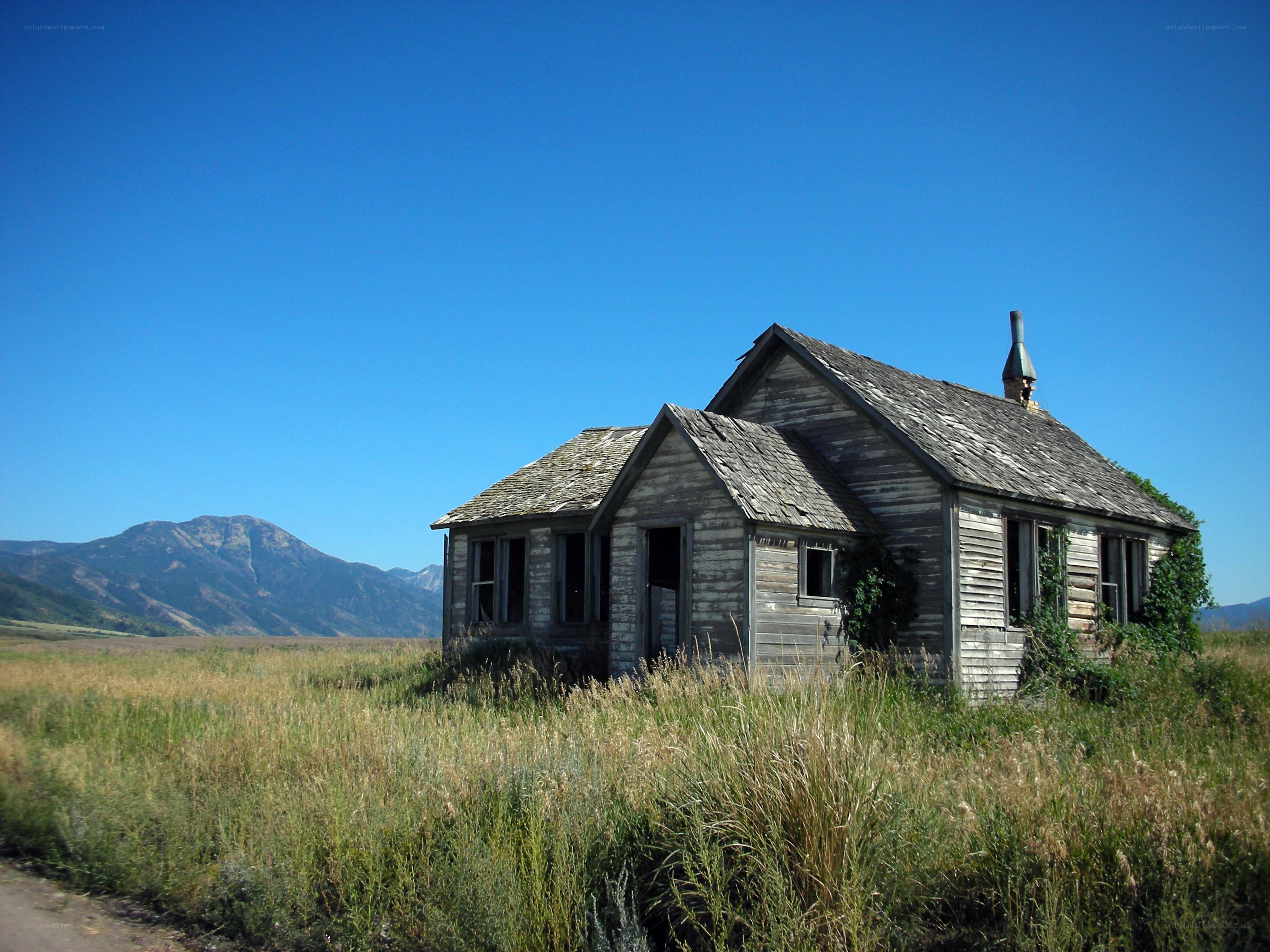 Abandoned cabin in a field