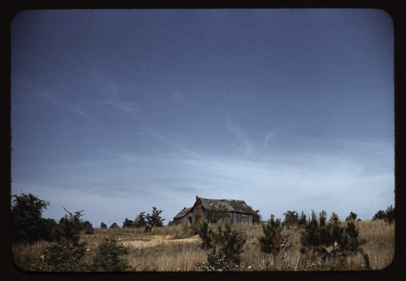 Abandoned cabin in a field