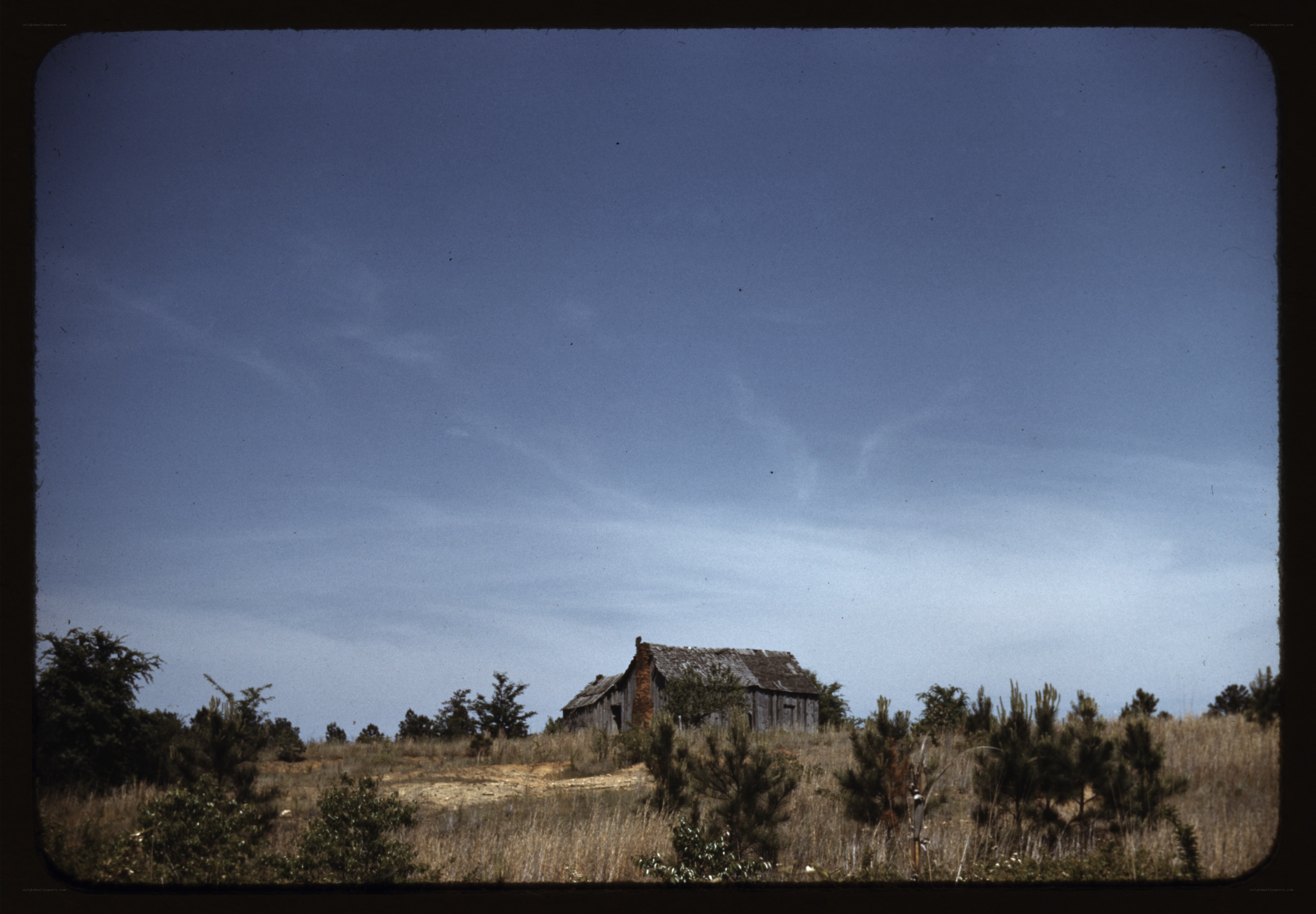Abandoned cabin in a field