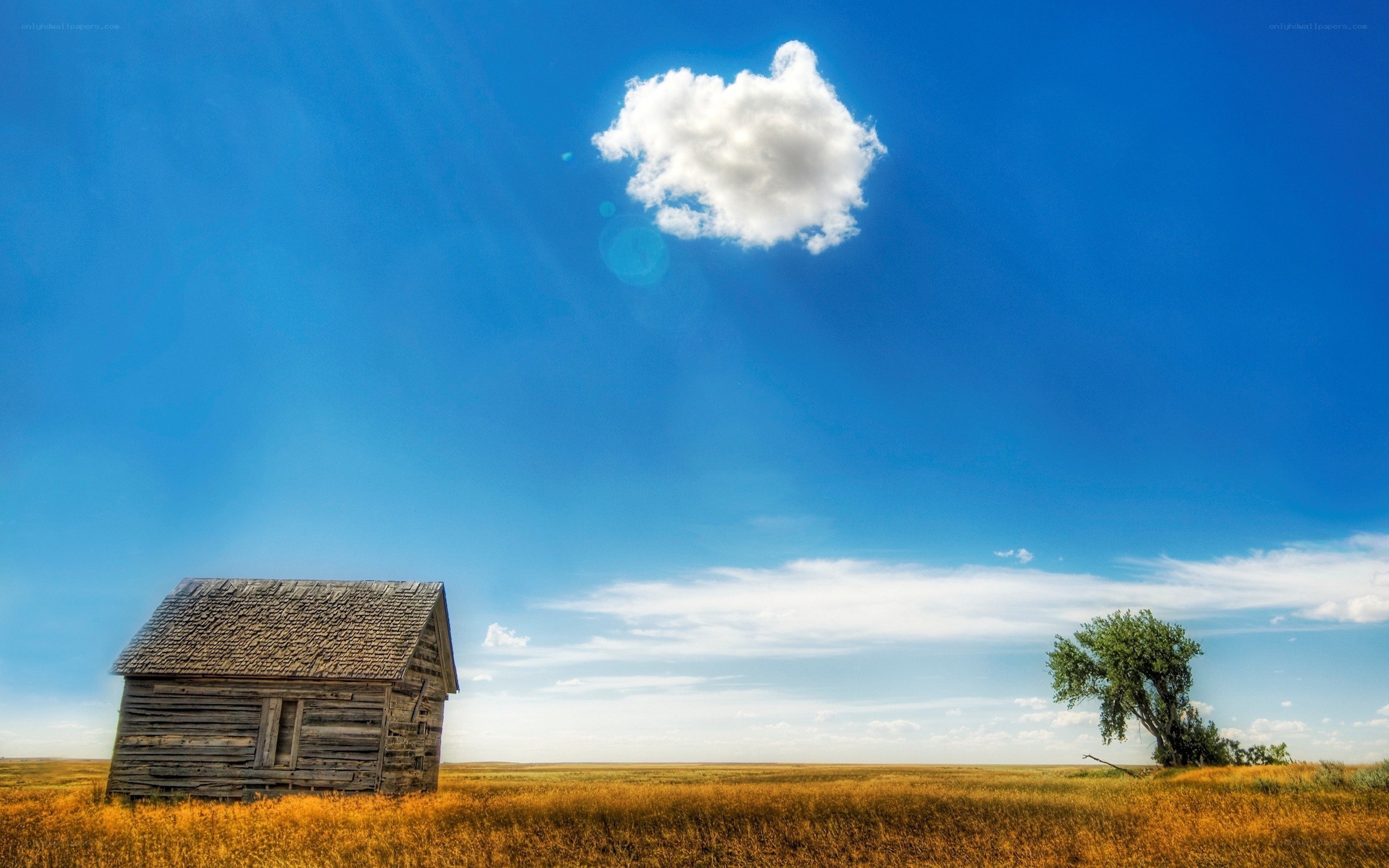 Abandoned cabin in a field