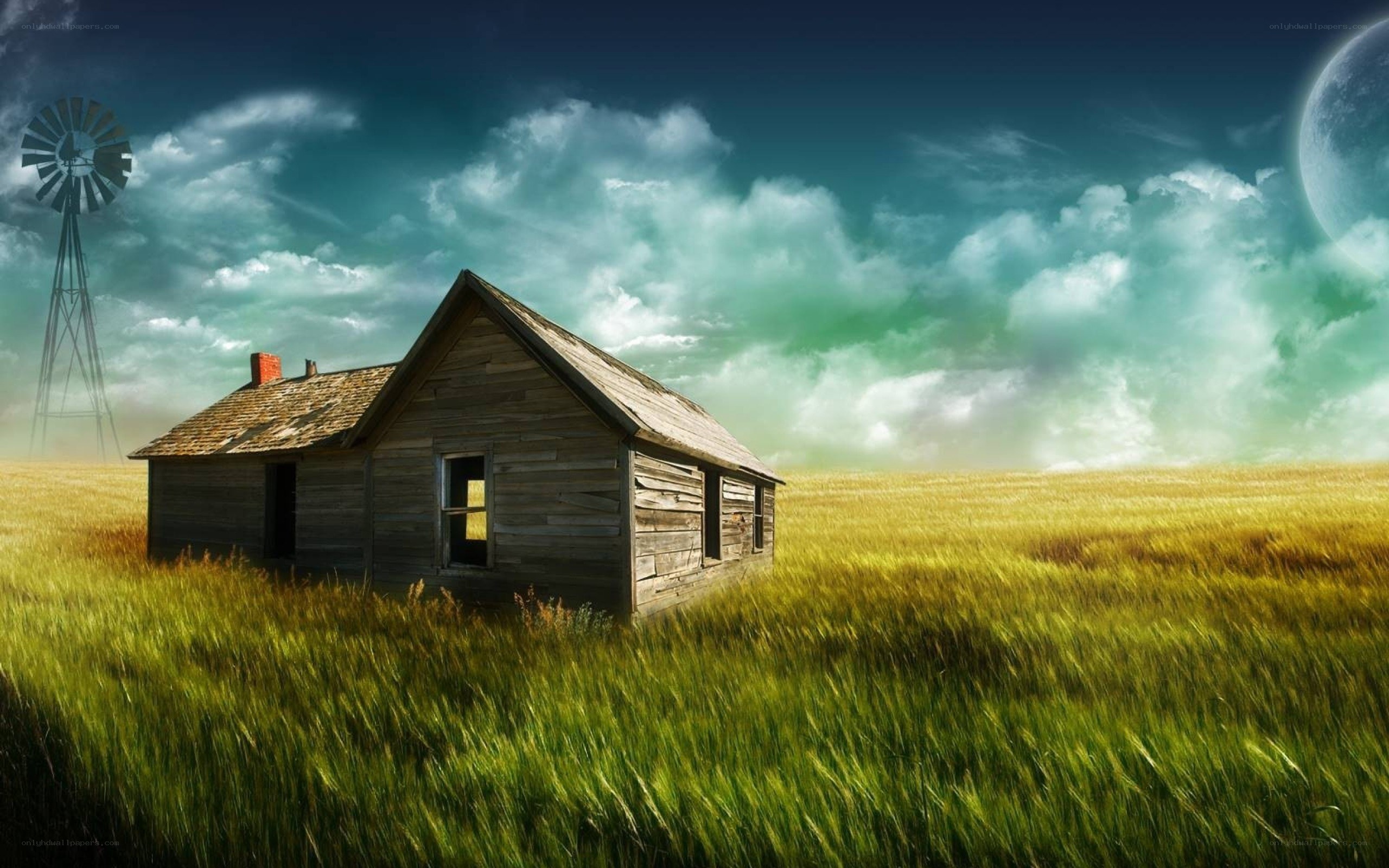Abandoned cabin in a field