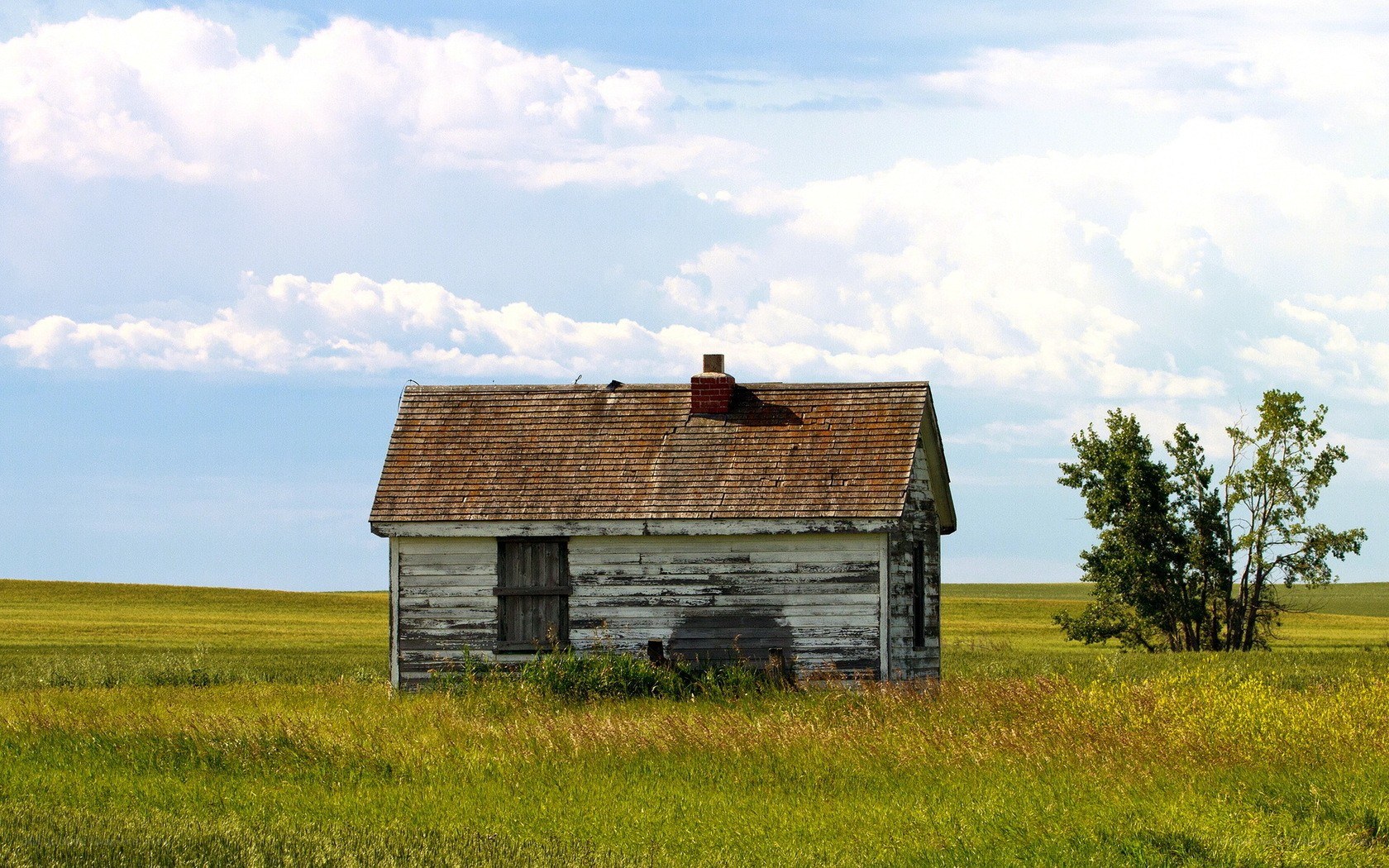 Abandoned cabin in a field