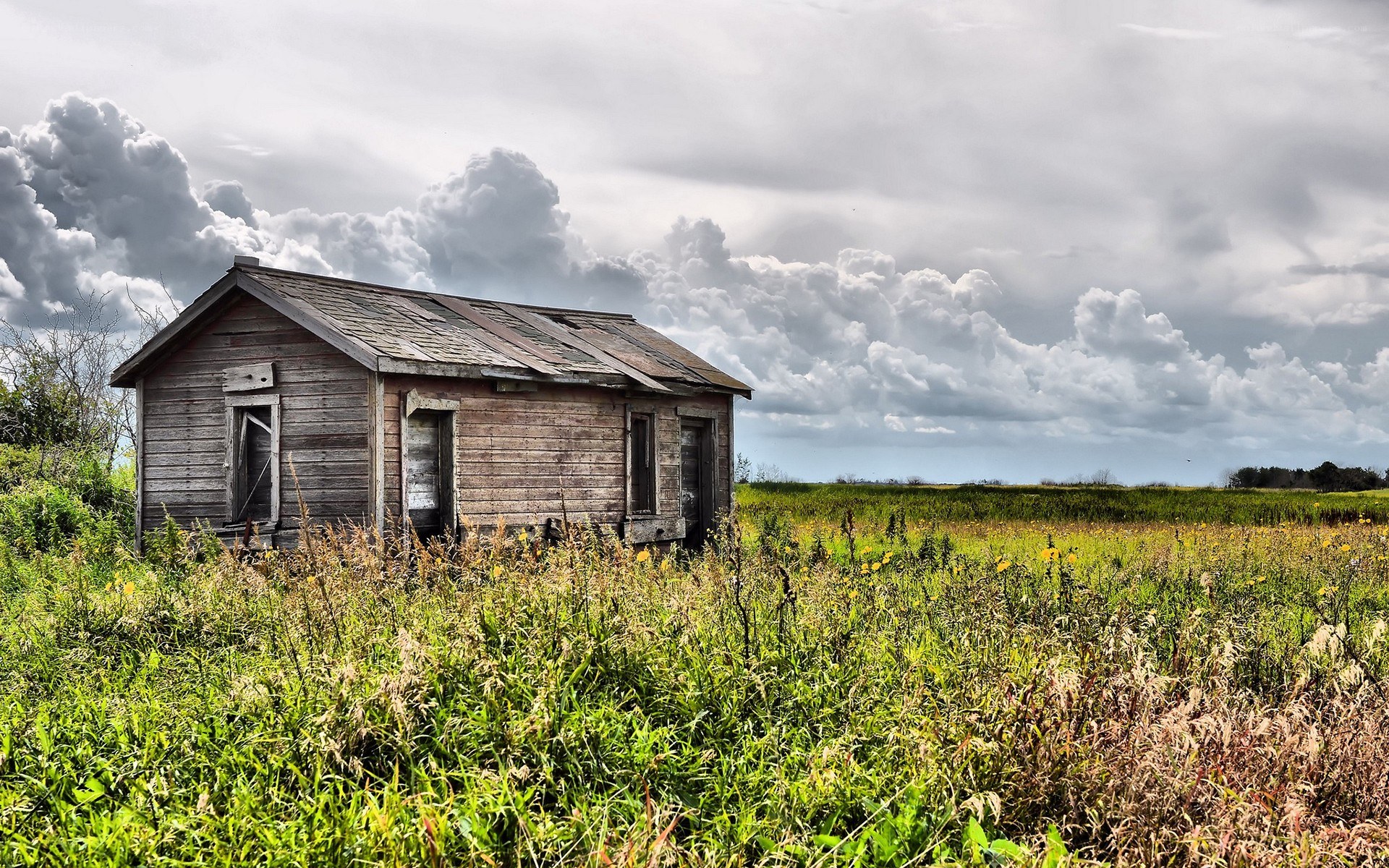 Abandoned cabin in a field