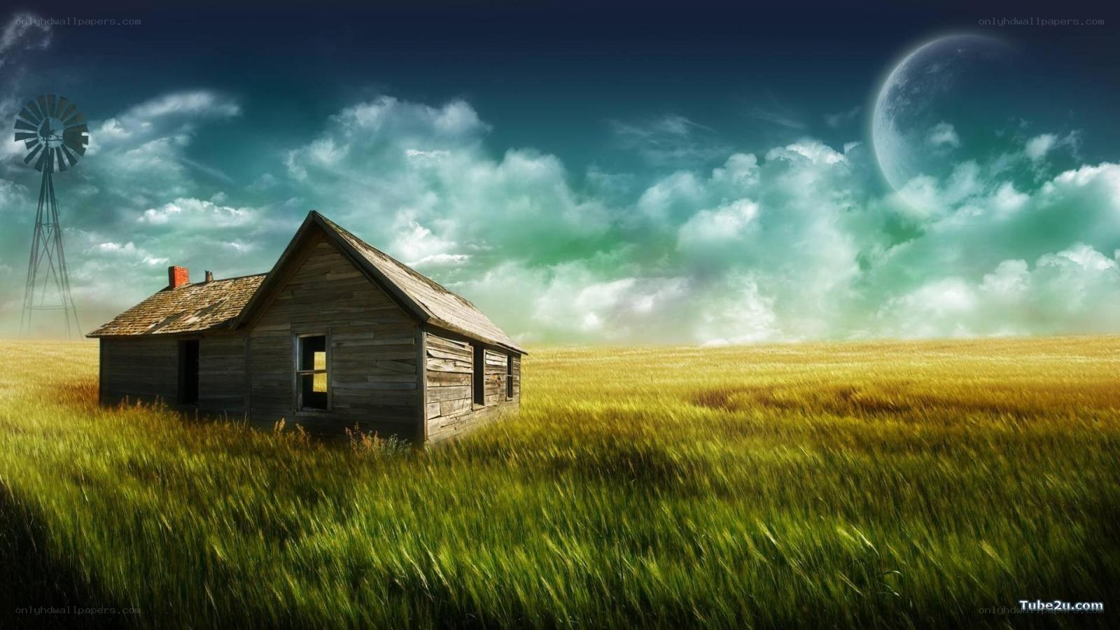 Abandoned cabin in a field