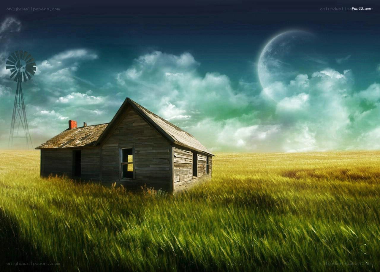 Abandoned cabin in a field