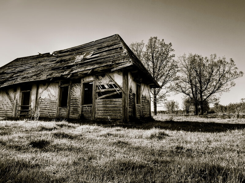 abandoned cabin in a field