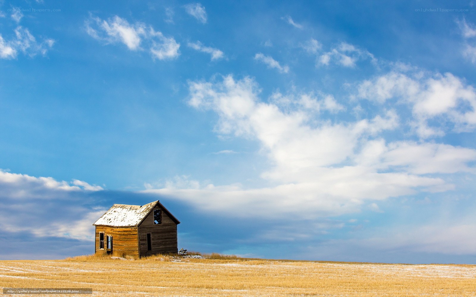Abandoned cabin in a field
