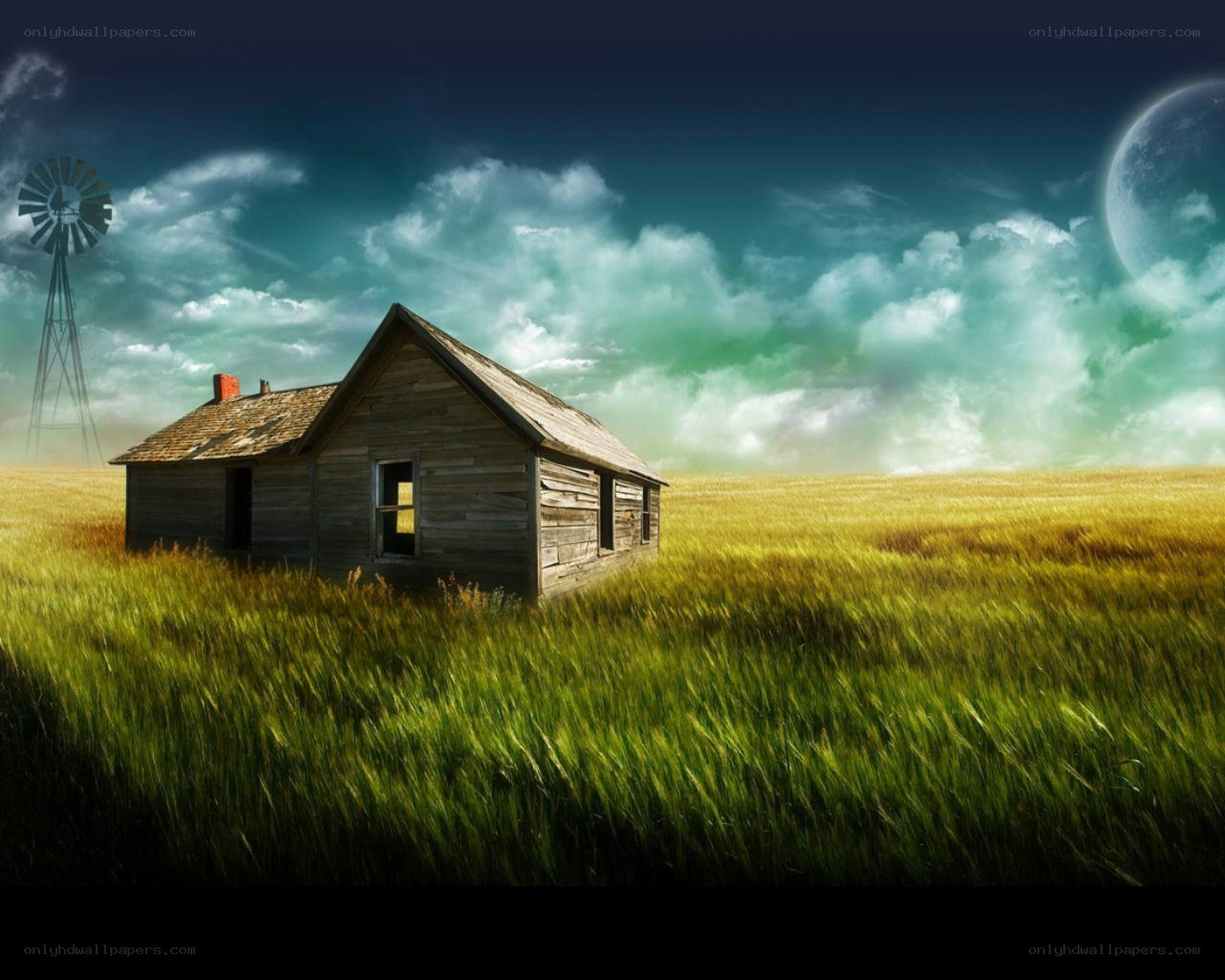Abandoned cabin in a field