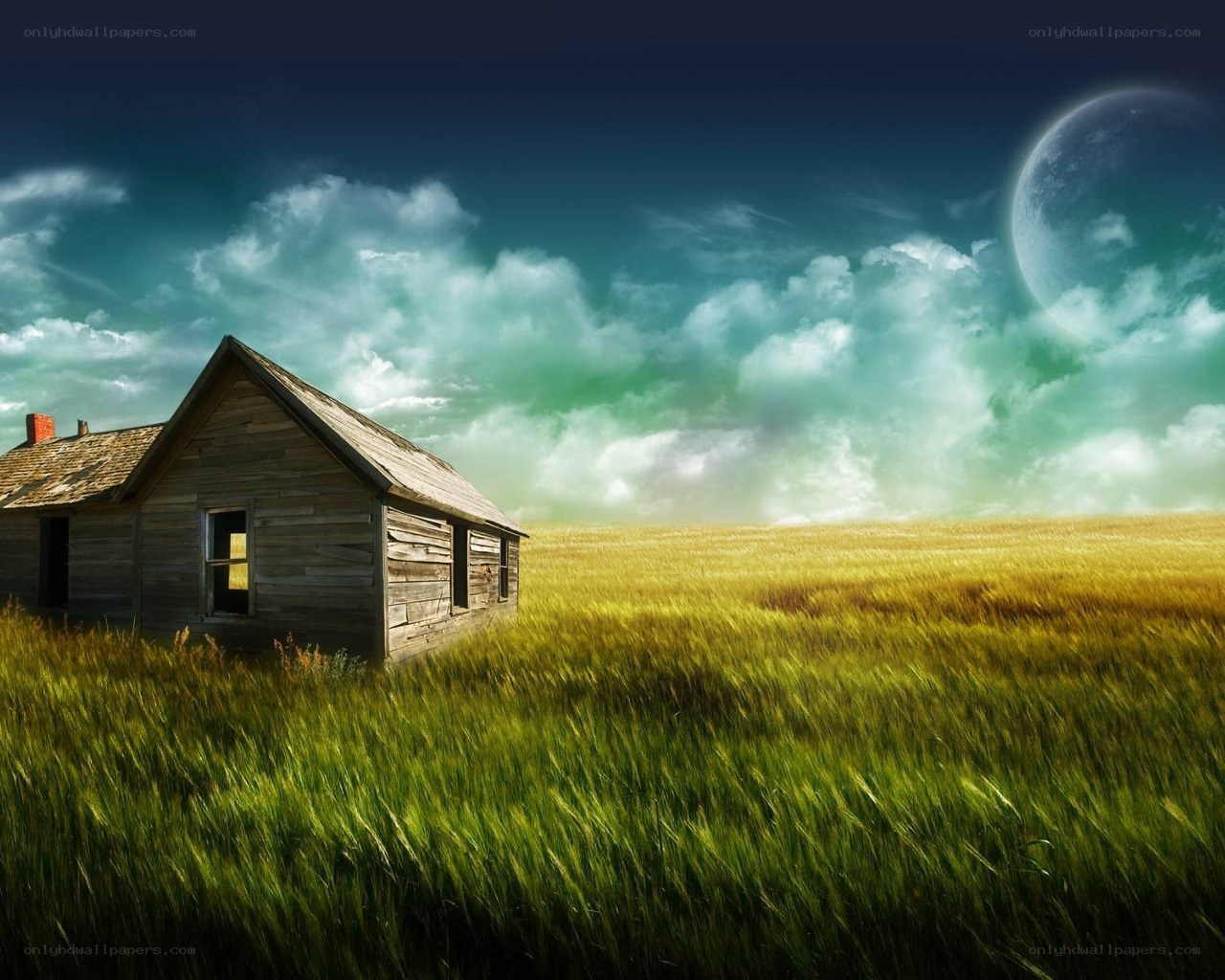 Abandoned cabin in a field