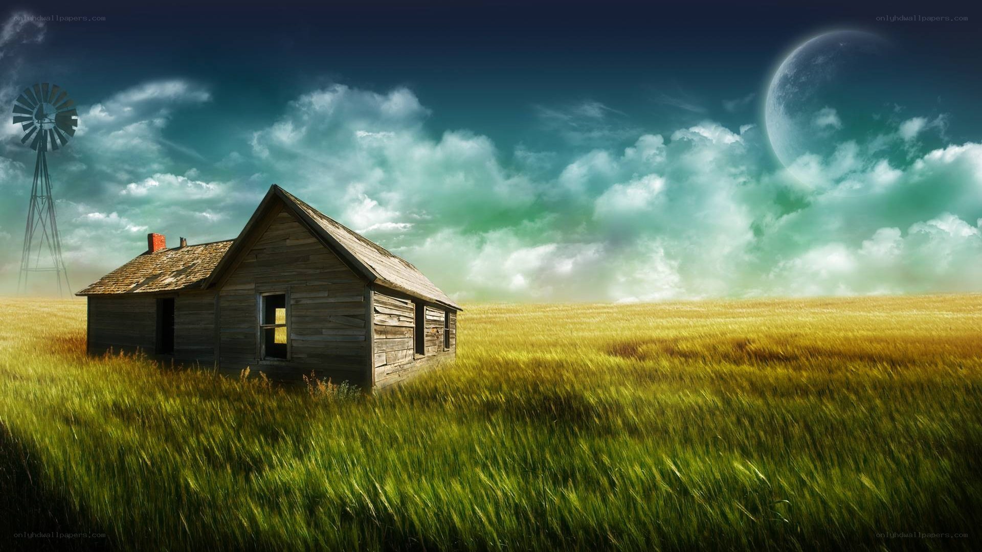 Abandoned cabin in a field