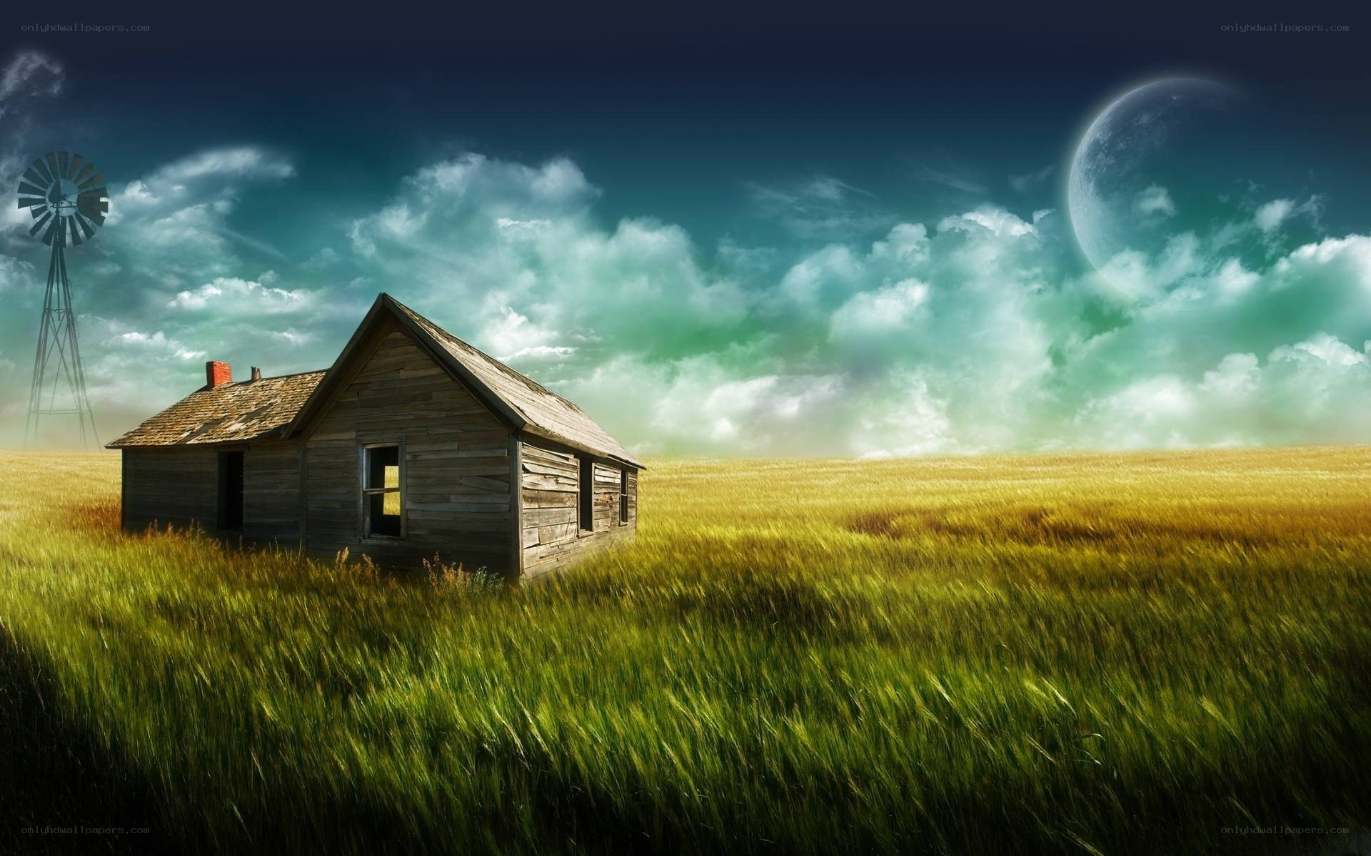 Abandoned cabin in a field