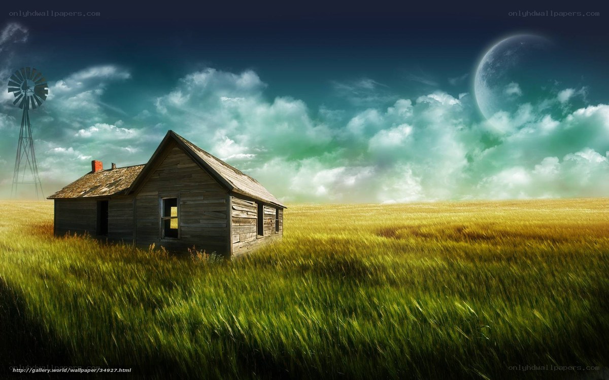 Abandoned cabin in a wheat field