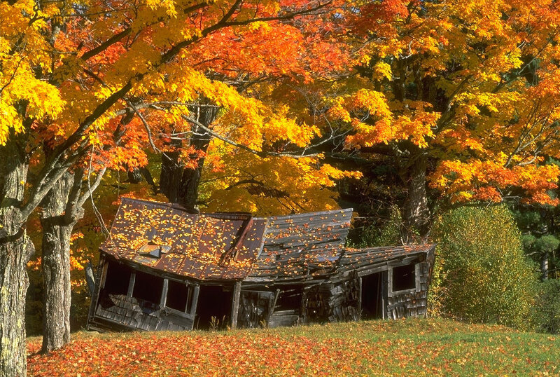 Abandoned cabin in autumn