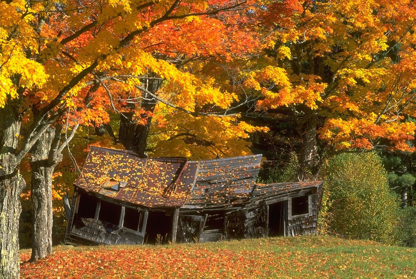 Abandoned cabin in autumn