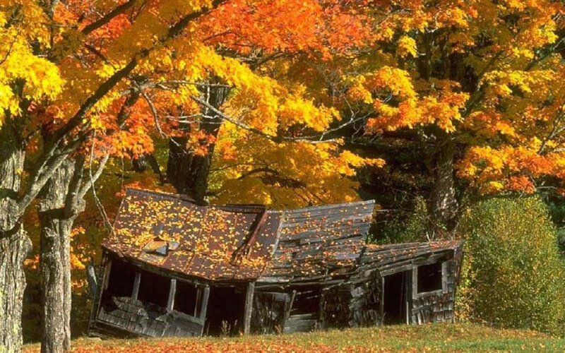 Abandoned cabin in autumn