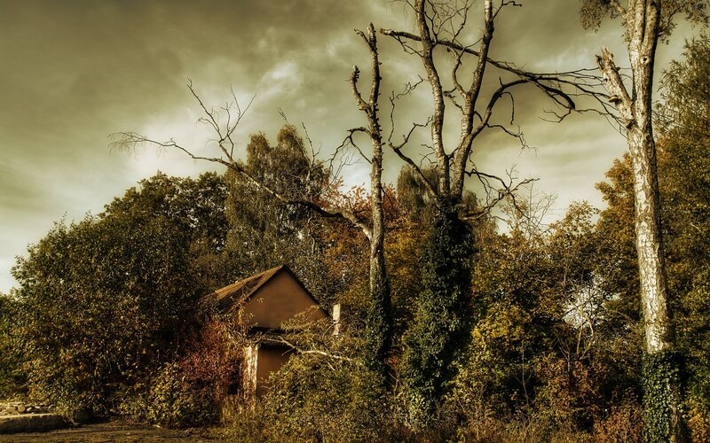 abandoned cabin in autumn forest