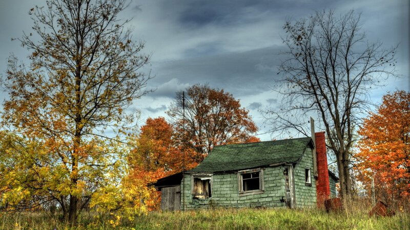 Abandoned Cabin in Autumn — Green, Dramatic, Photograph