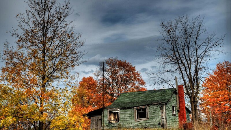 Abandoned Cabin in Autumn — Green