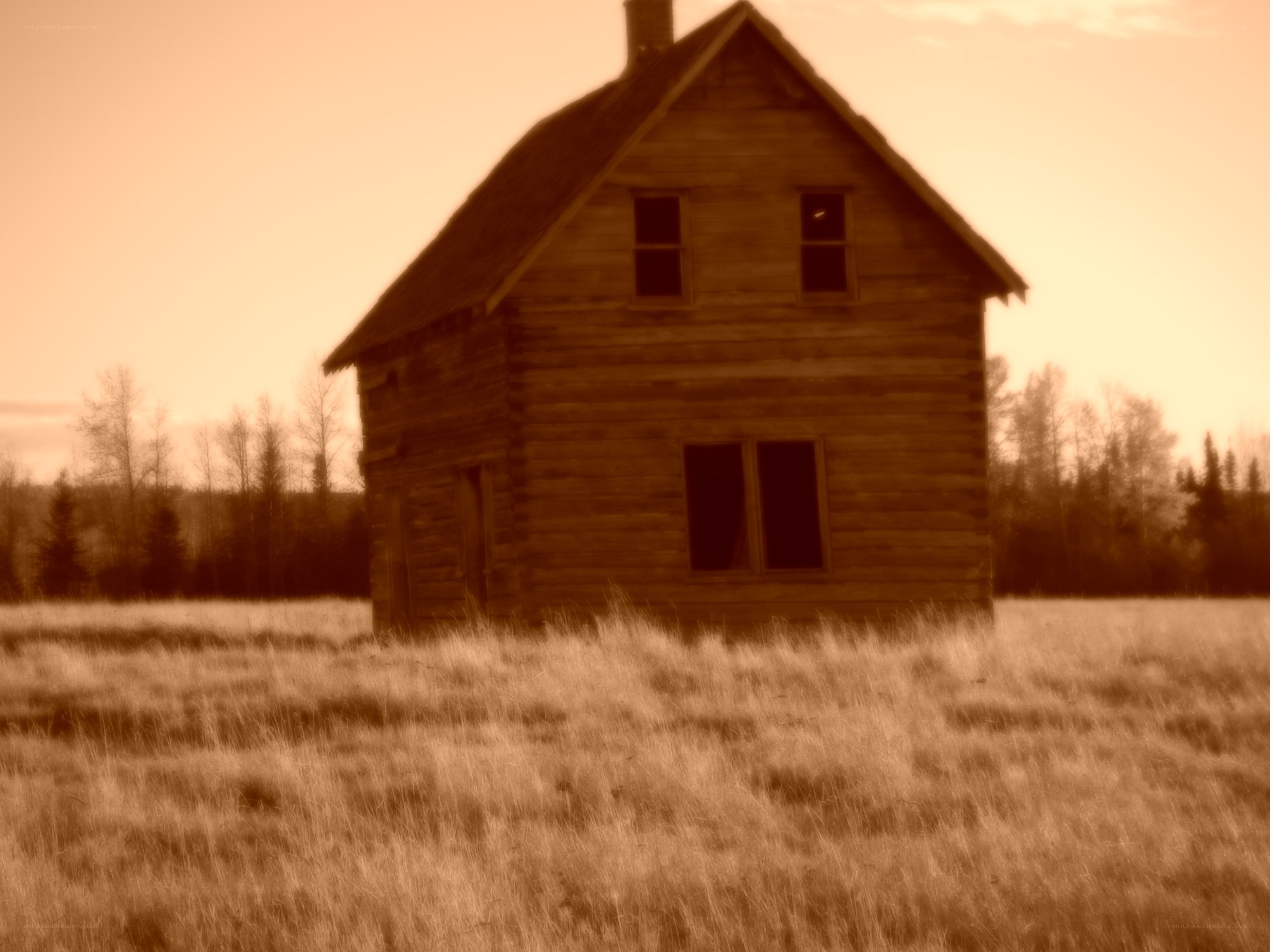 abandoned cabin in field