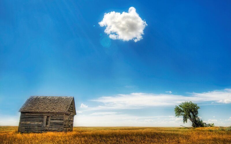 Abandoned Cabin in Field — Blue, Serene, Afternoon, Photograph, Cloud, Tree, Yellow, Brown