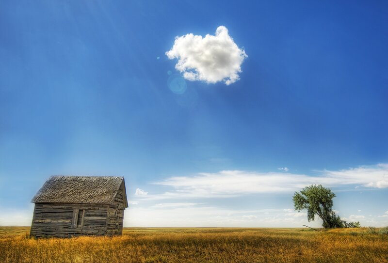 Abandoned Cabin in Field — Blue, Serene, Afternoon, Photograph, Cloud, Tree, Yellow