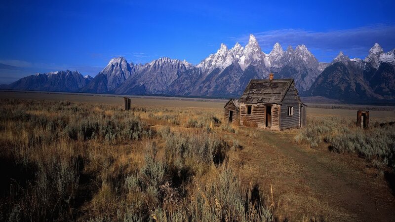 Abandoned Cabin in Field — Blue, Serene, Afternoon, Photograph