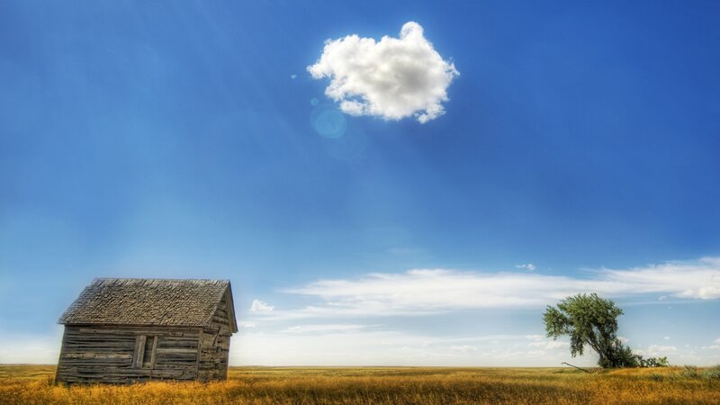 Abandoned Cabin in Field — Blue, Serene