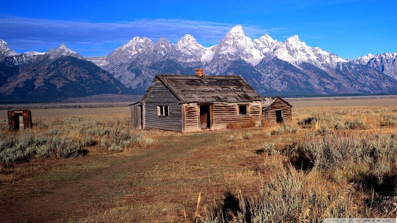 Abandoned Cabin in Field — Blue