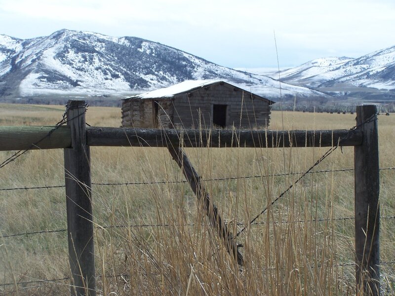 Abandoned Cabin in Field — Brown, Desolate