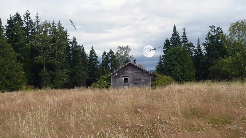 Abandoned Cabin in Field — Brown, Serene