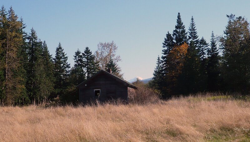 Abandoned Cabin in Field — Brown