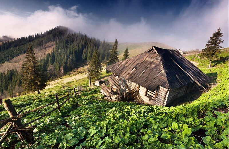 Abandoned Cabin in Field — Green, Dramatic, Morning, Photograph