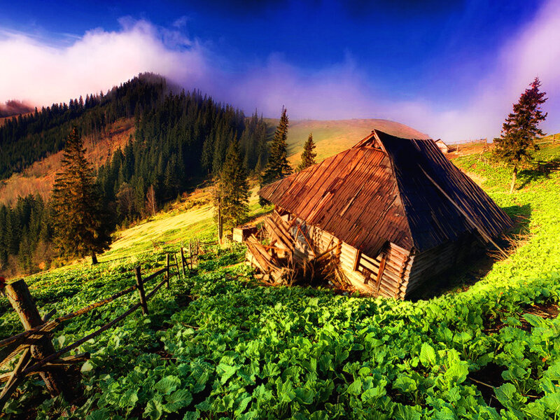 Abandoned Cabin in Field — Green, Dramatic, Morning