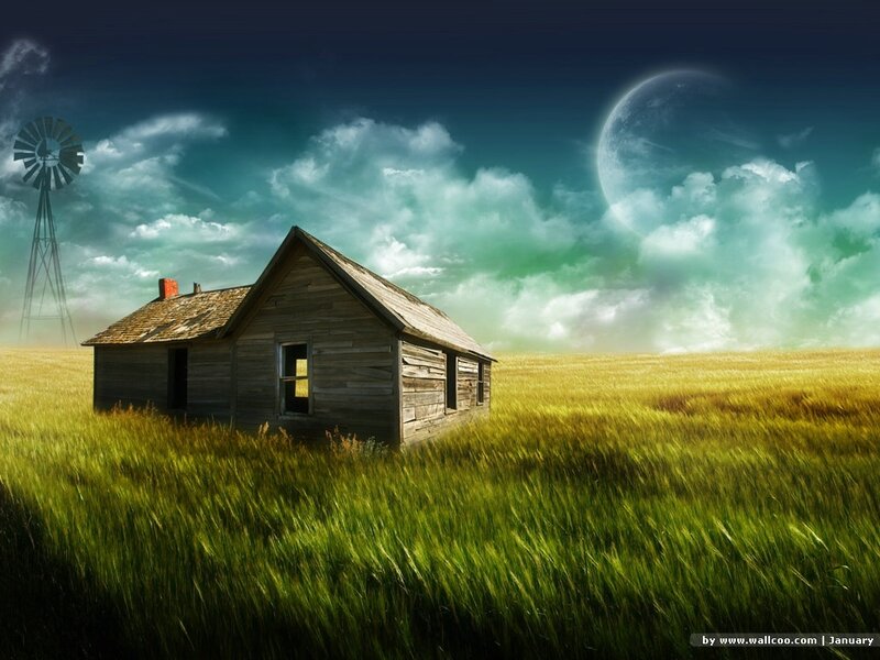Abandoned Cabin in Field — Green, Night