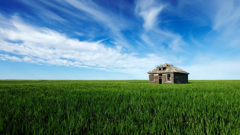 Abandoned Cabin in Field — Green, Serene, Afternoon