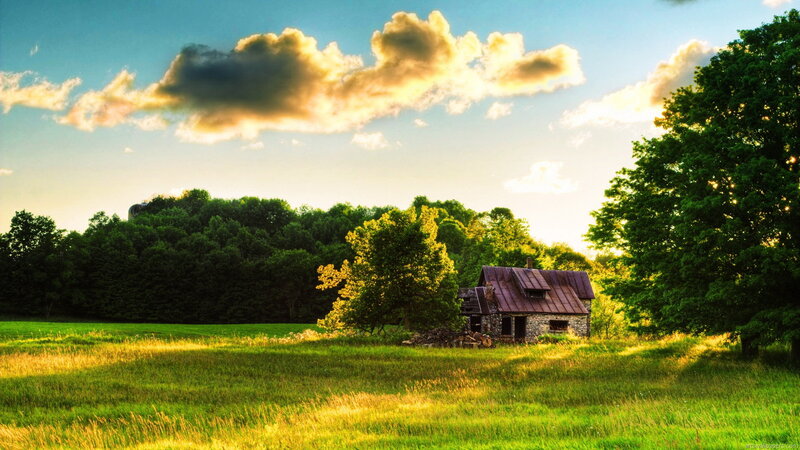 Abandoned Cabin in Field — Green, Serene, Sunset