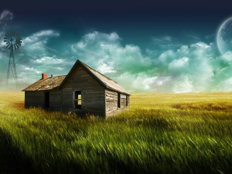 Abandoned Cabin in Field — Green