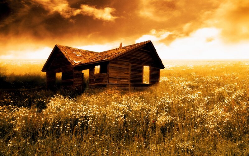 Abandoned Cabin in Field — Orange, Dramatic
