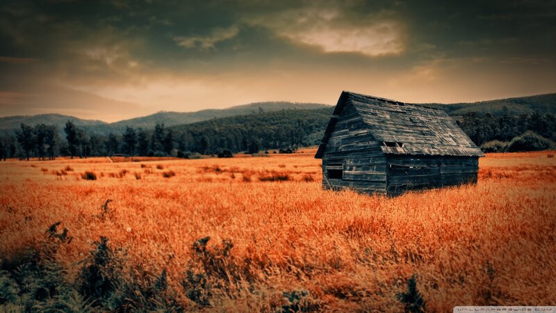 Abandoned Cabin in Field — Orange