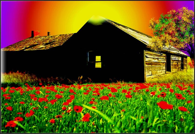 Abandoned Cabin in Field — Red