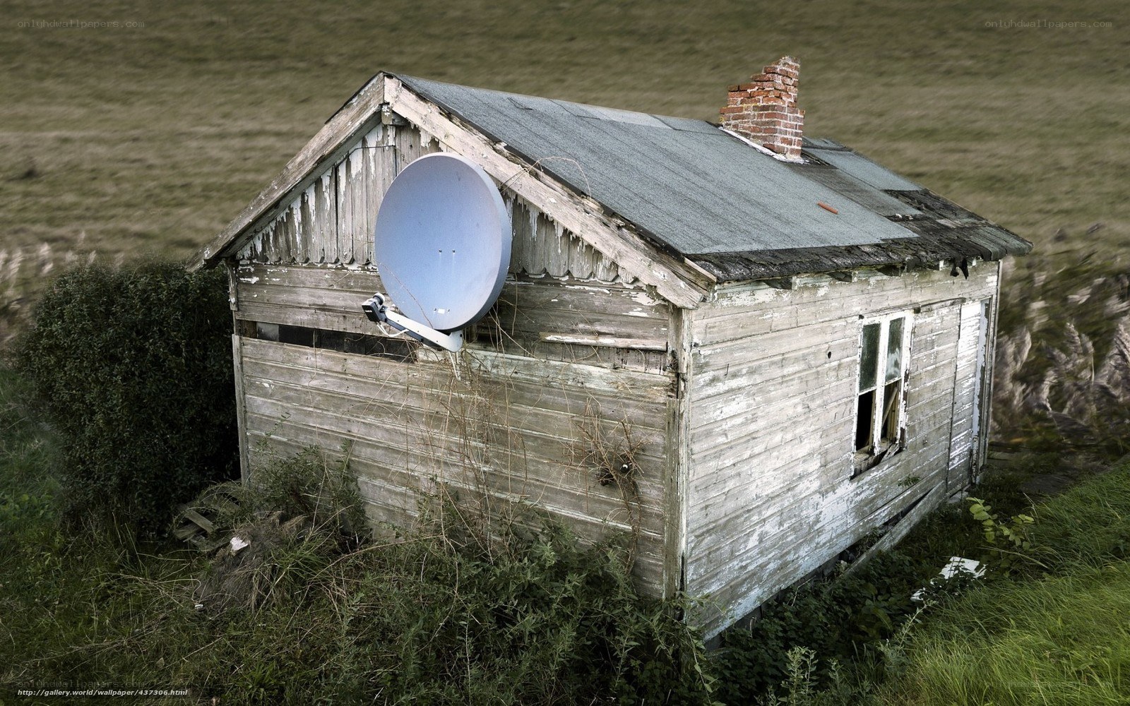 abandoned cabin in field