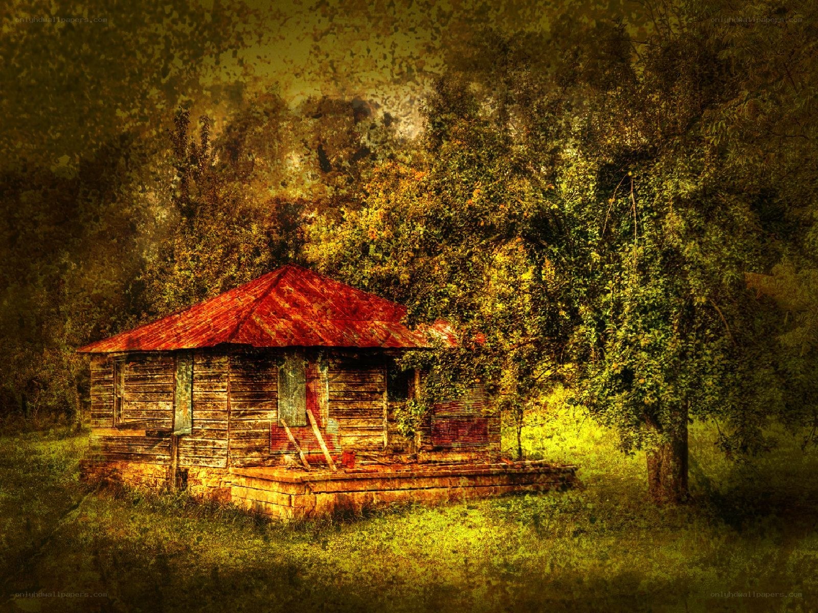 Abandoned cabin in forest
