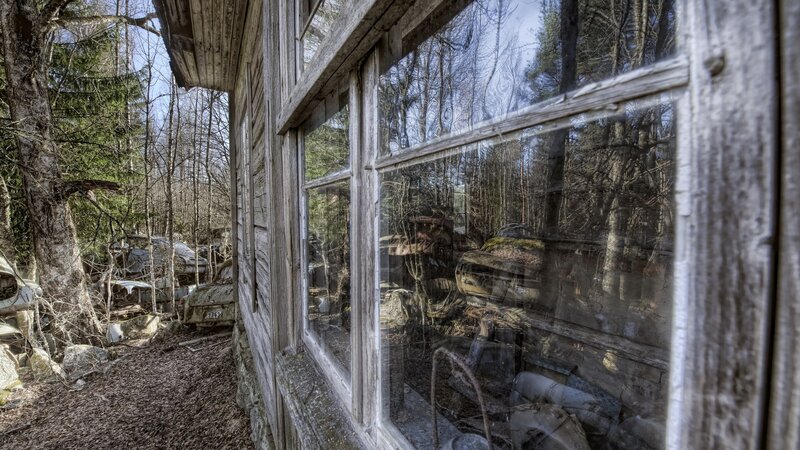 Abandoned cabin in forest