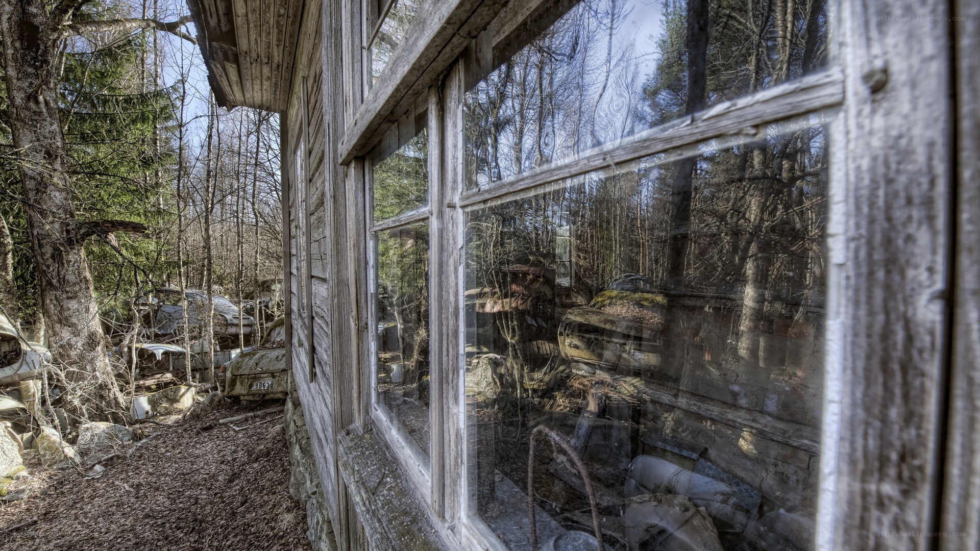 Abandoned cabin in forest