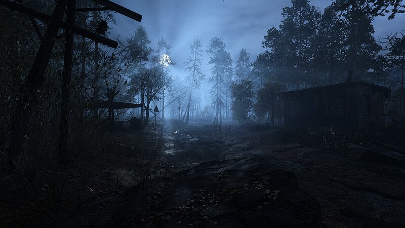 Abandoned Cabin in Forest — Blue, Dark, Eerie