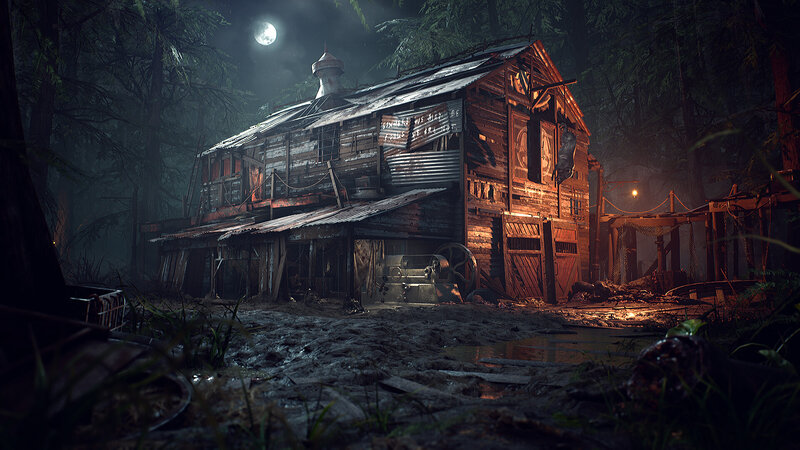 Abandoned Cabin in Forest — Brown, Dark