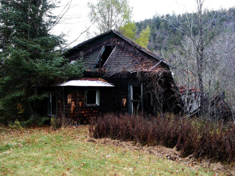 Abandoned Cabin in Forest — Brown, Desolate