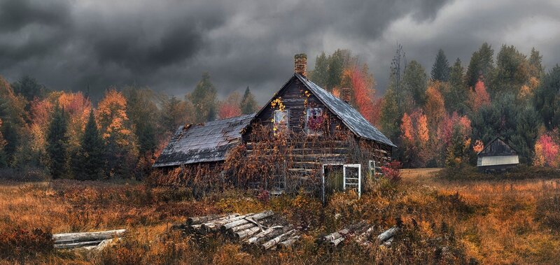 Abandoned Cabin in Forest — Brown, Dramatic, Autumn