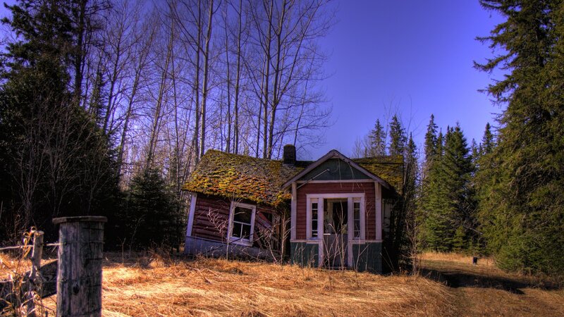 Abandoned Cabin in Forest — Brown, Dramatic