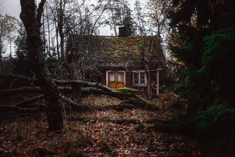 Abandoned Cabin in Forest — Brown, Dreary, Autumn